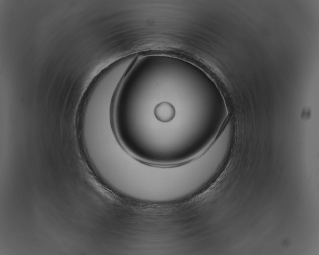 X0000090951026200708241123