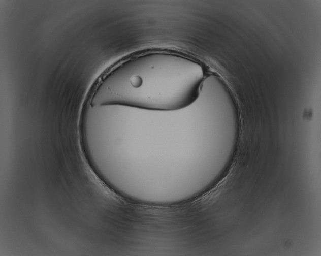 X0000090951028200708241123