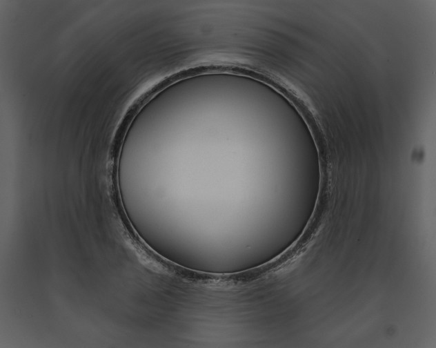 X0000090951029200708241123