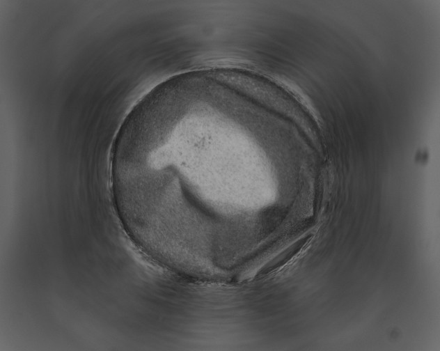 X0000090951031200708241123