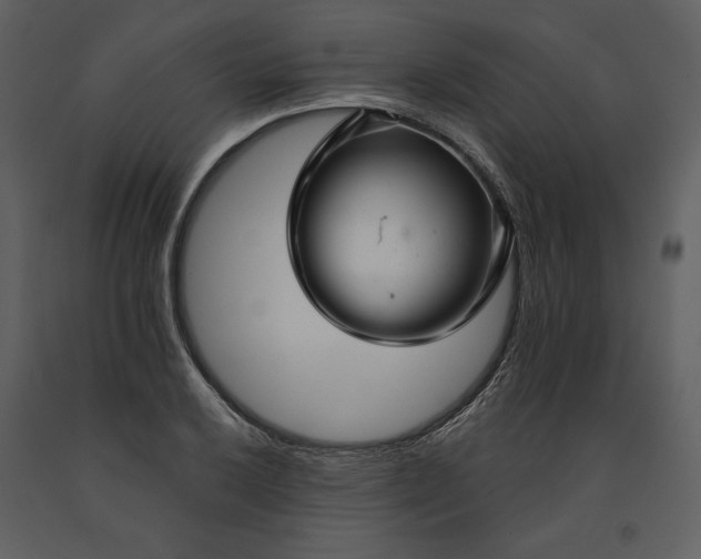 X0000090951032200708241123
