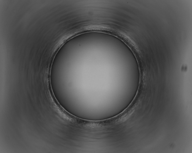 X0000090951033200708241123