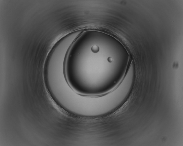X0000090951034200708241123
