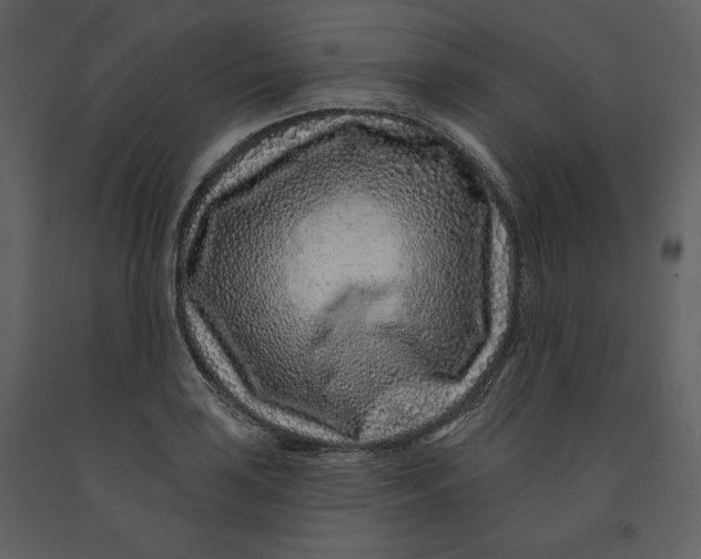 X0000090951035200708241123