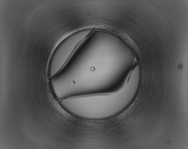 X0000090951036200708241123