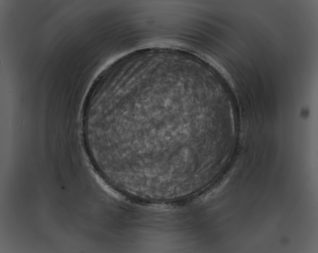 X0000090951037200708241123