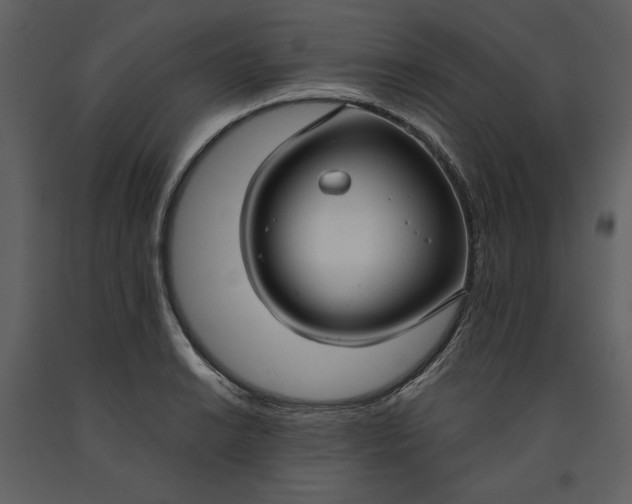 X0000090951038200708241123