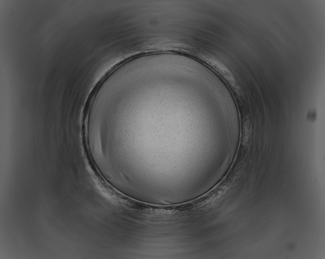 X0000090951039200708241123