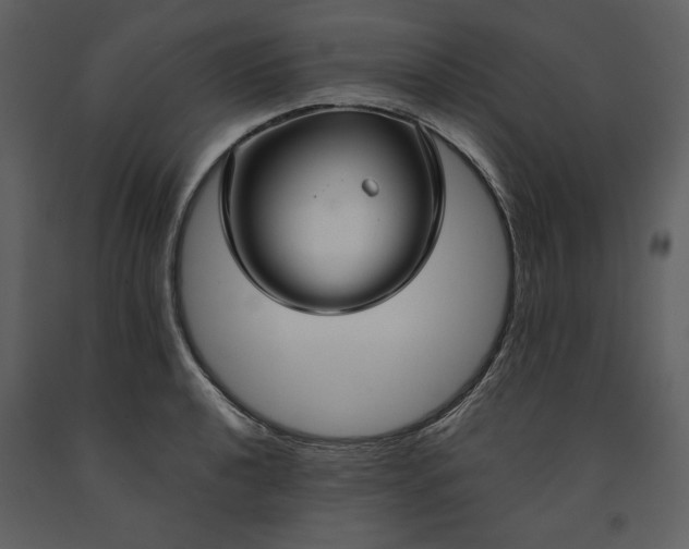X0000090951040200708241123
