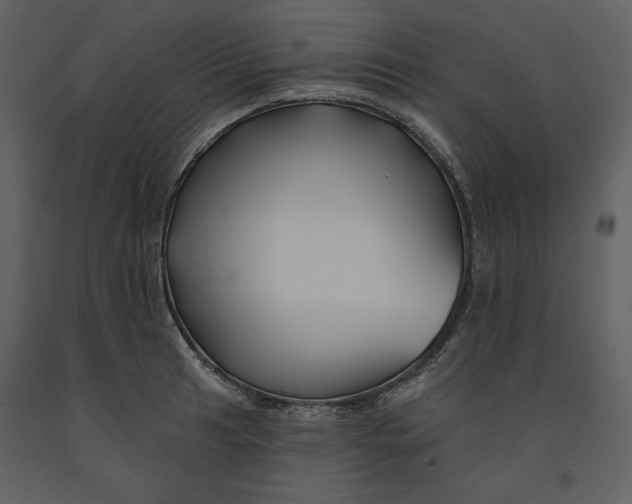 X0000090951041200708241123