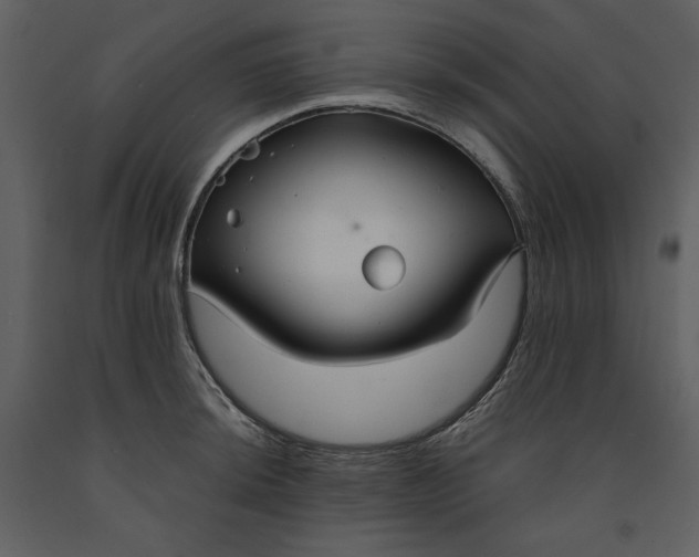 X0000090951044200708241123