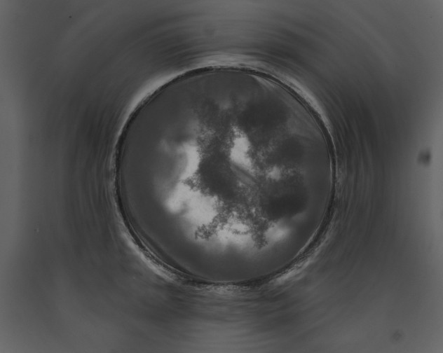 X0000090951045200708241123