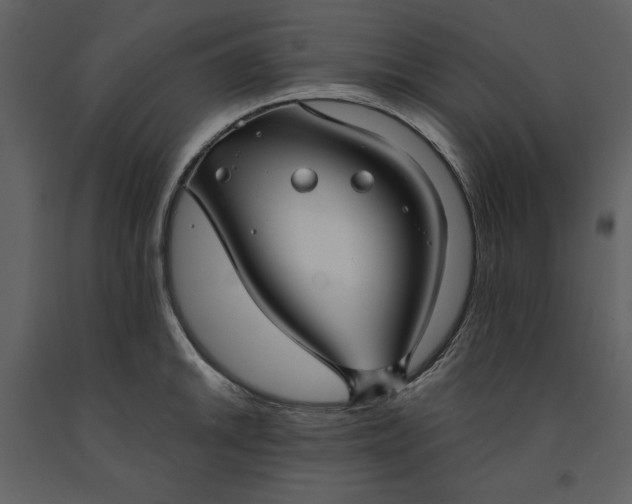 X0000090951046200708241123