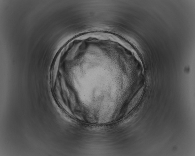 X0000090951047200708241123