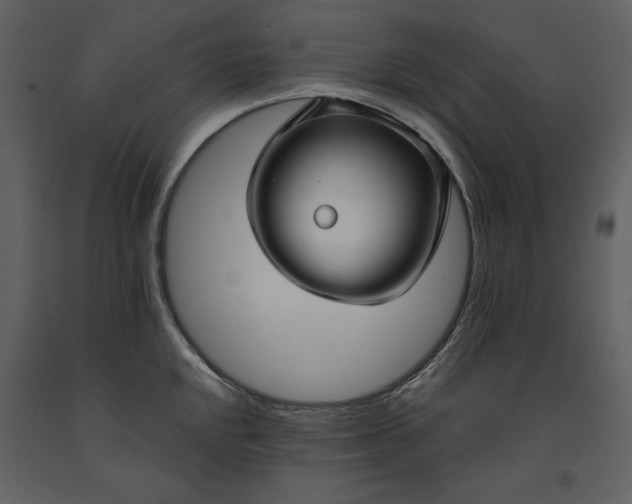 X0000090951048200708241123