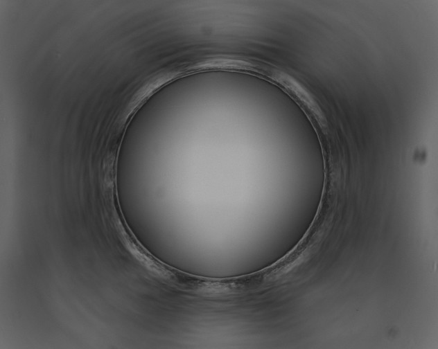 X0000090951049200708241123