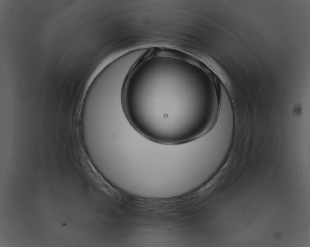 X0000090951052200708241123