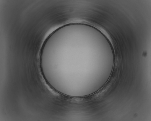 X0000090951053200708241124