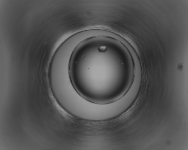 X0000090951054200708241124