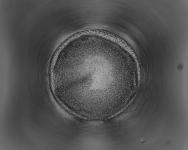 X0000090951055200708241124