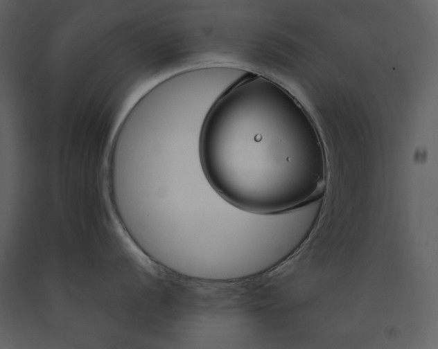 X0000090951056200708241124
