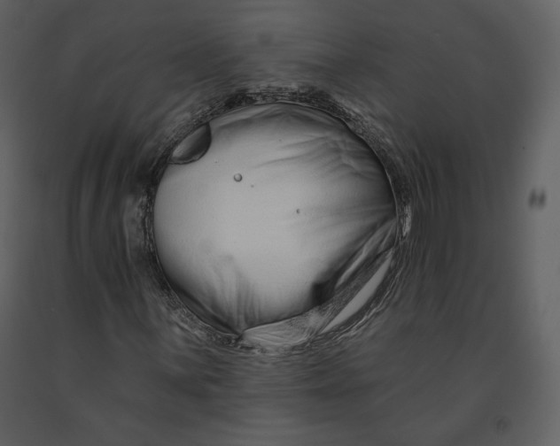 X0000090951059200708241123