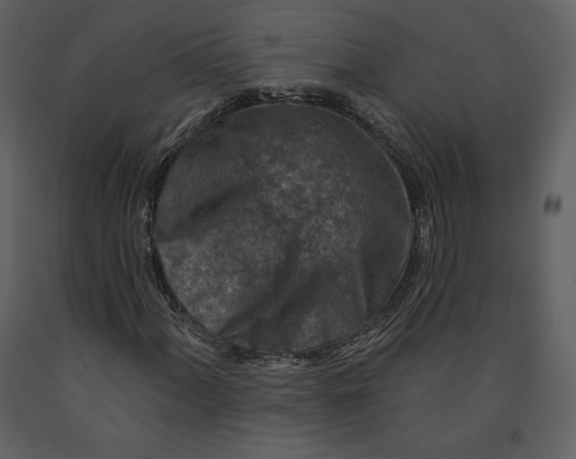 X0000090951060200708241123
