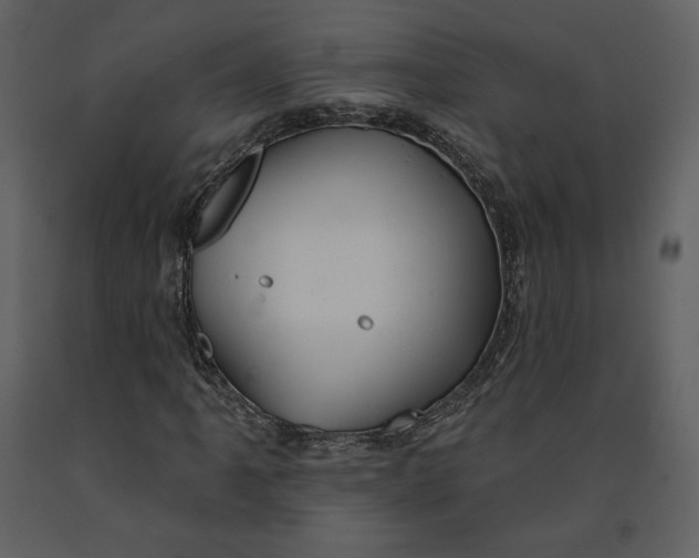 X0000090951061200708241123