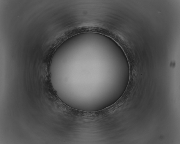 X0000090951062200708241123