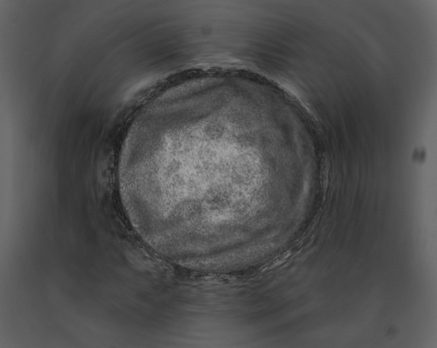 X0000090951063200708241123