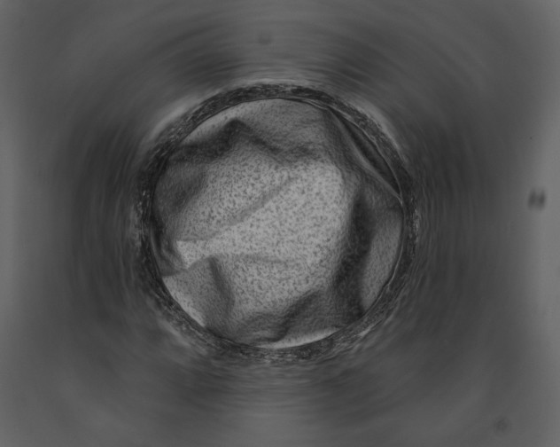 X0000090951064200708241123