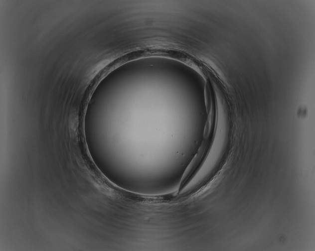 X0000090951065200708241123