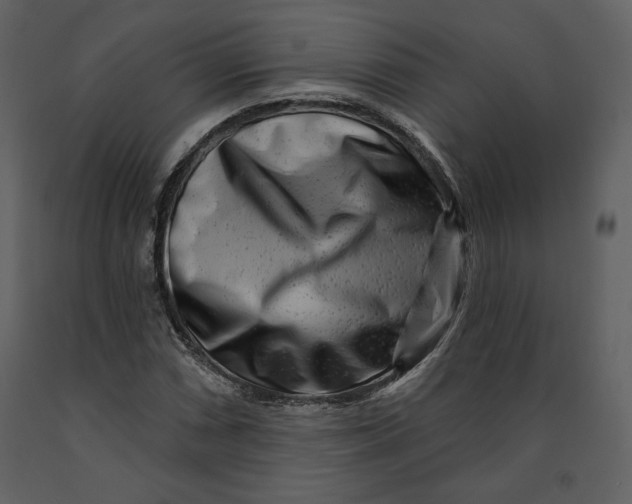 X0000090951066200708241123