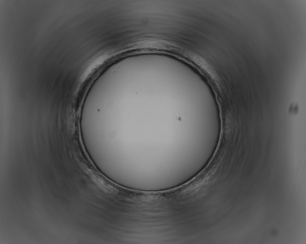X0000090951067200708241123