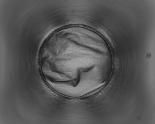 X0000090951068200708241123