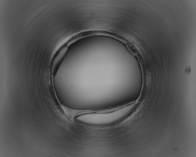 X0000090951069200708241123
