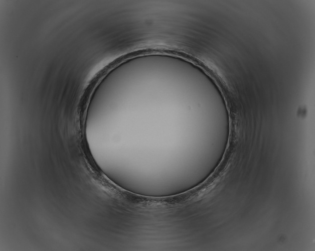 X0000090951070200708241123