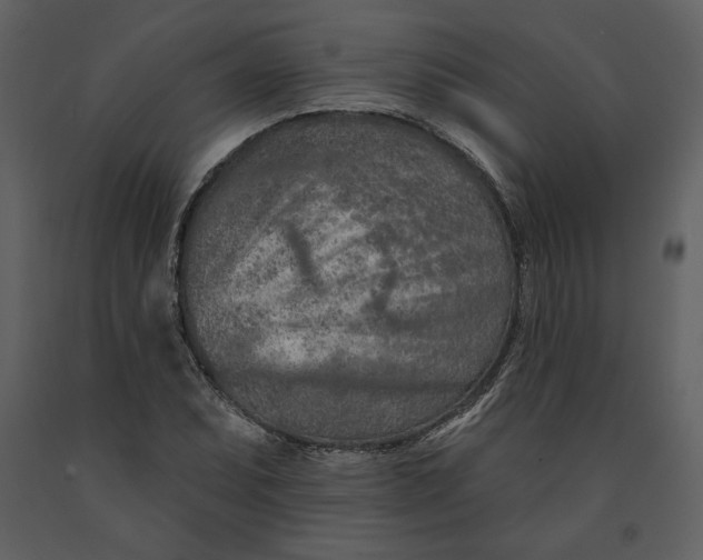 X0000090951071200708241123