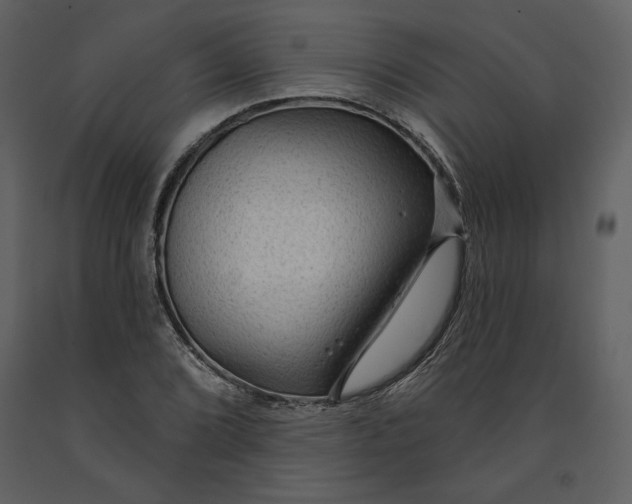 X0000090951072200708241123