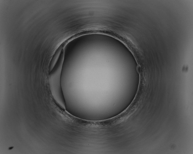 X0000090951073200708241123
