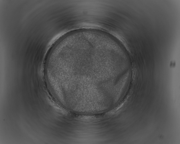 X0000090951074200708241122
