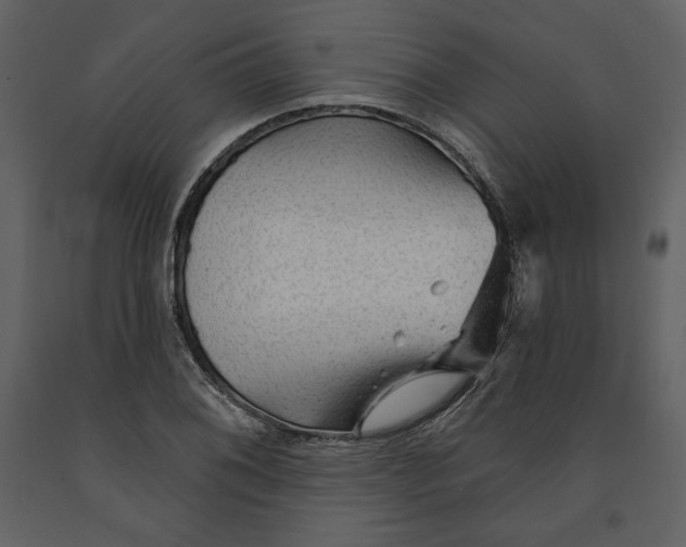 X0000090951076200708241122