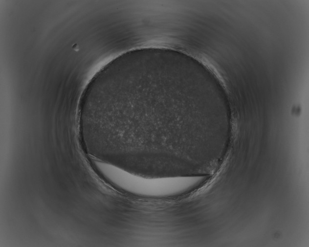 X0000090951077200708241122
