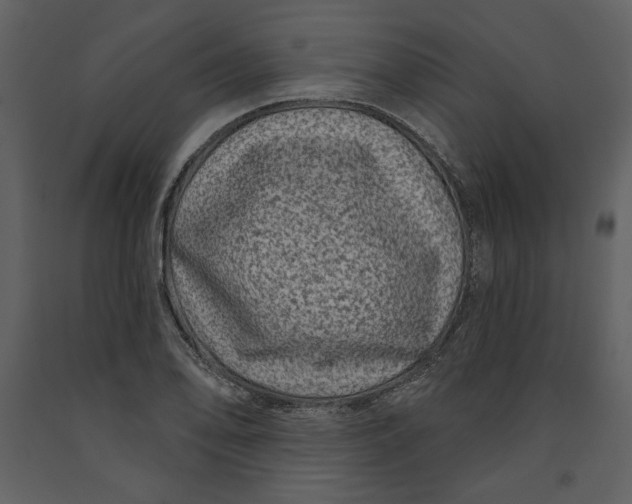 X0000090951078200708241122