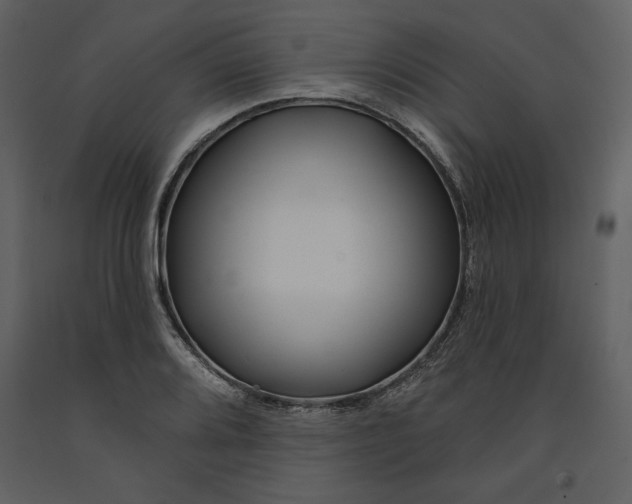 X0000090951080200708241122