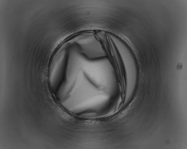 X0000090951081200708241122