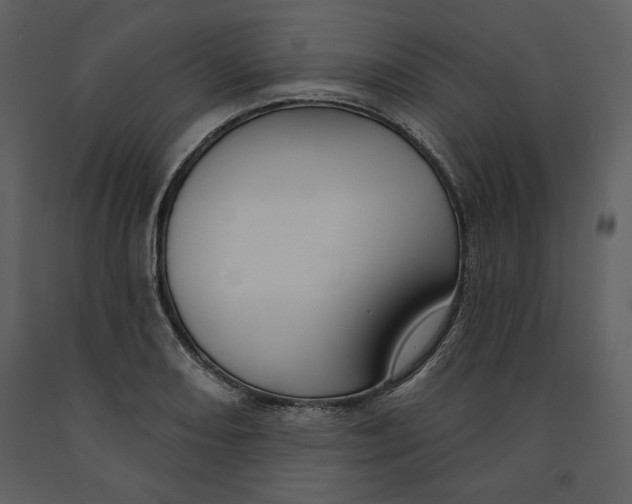 X0000090951082200708241122