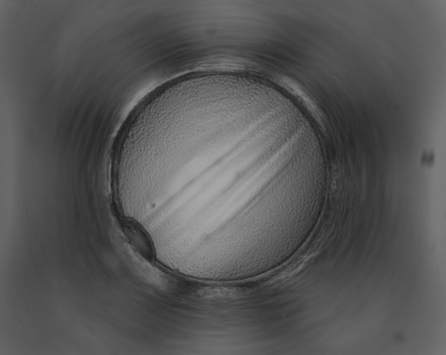 X0000090951083200708241122
