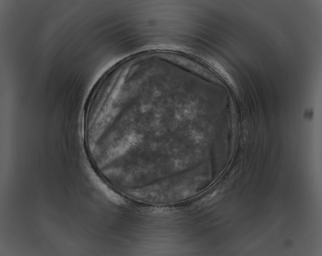 X0000090951084200708241122