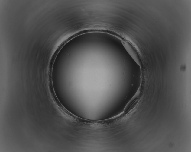 X0000090951085200708241122
